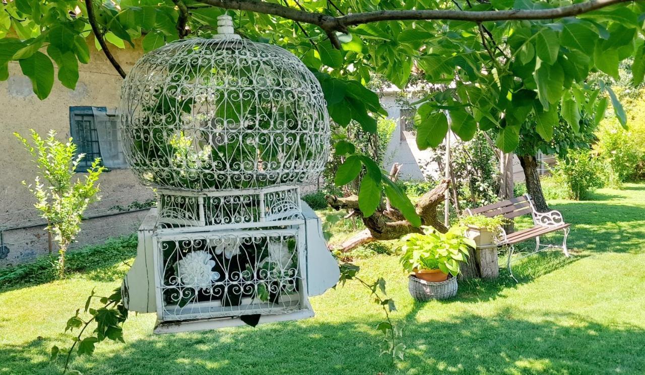 מלון פינרולו A Casa Di Roby מראה חיצוני תמונה